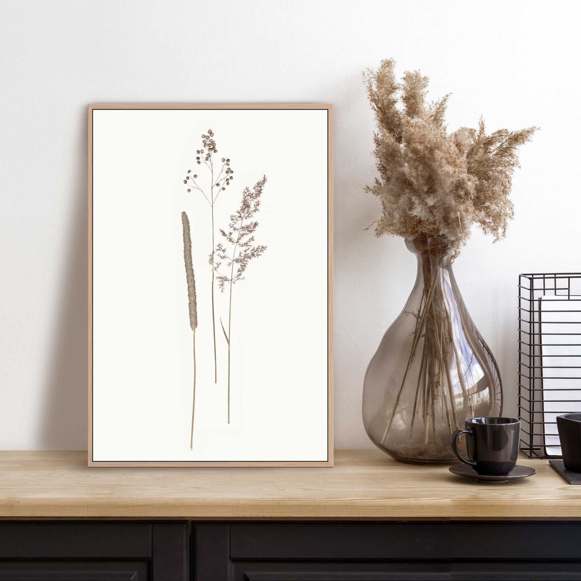 Bild mit Rahmen REINDERS "Dried Flowers", beige (farbe bild(er): beige), B:20cm H:30cm T:1,6cm, Holzwerkstoff, Bilder Image