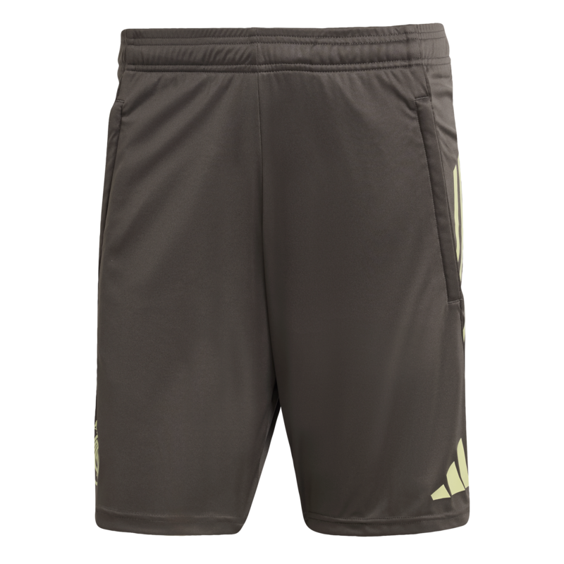 Real Madrid adidas Trainingsshorts - Grau Image