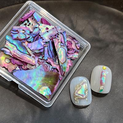 TEMU Thin Shell Pieces, Irregular Holographic Natural Abalone Slices - Popular Nail Art Decor For Women, Artistic , Nail Art Decorations|holographic Finish|natural Abalone Slices, Nail Art Supplies Image