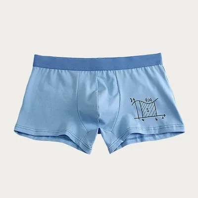 Baumwollunterwäsche männlicher Boxer Entwicklungszeit Sport atmungsaktive Junior High School Jungen Shorts antibakterielle Boxershorts für T Image