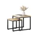 SoBuy FBT42 Set da 2 pezzi tavolino tavolino set da 2 pezzi tavolo divano tavolo tavolino set