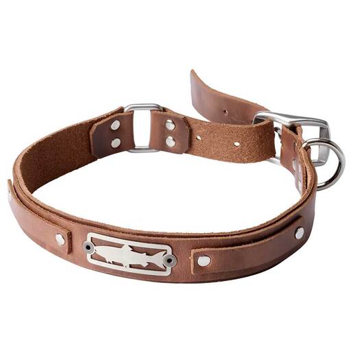 Orvis X Sight Line Provisions Dog Collar - Brown X-Large