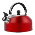 Bollitore per tè con fischio in acciaio inossidabile da 3 litri Bollitore per acqua Teiera a fondo piatto resistente al calore Pentola da campeggio multifunzione per tutti i fornelli