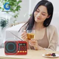 Radio portatile Radio FM Ricaricabile con torcia Altoparlante Bluetooth wireless Display LCD Jack per cuffie da 3,5 mm Scheda TF USB MP3