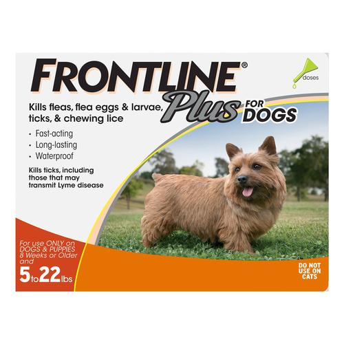 Frontline Plus Pour Petits Chiens Jusqu'à 22lbs (Orange) 6 Doses