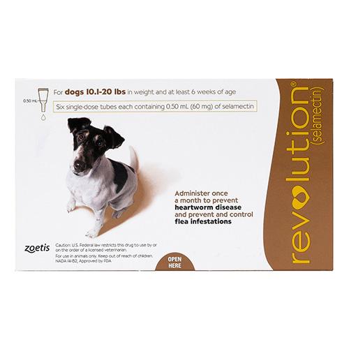 Revolution Pour Petits Chiens 10.1 - 20lbs (Marron) 6 Doses