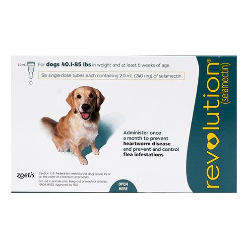 Revolution Large Dogs 40.1-85lbs (Grün) 6 Dosen