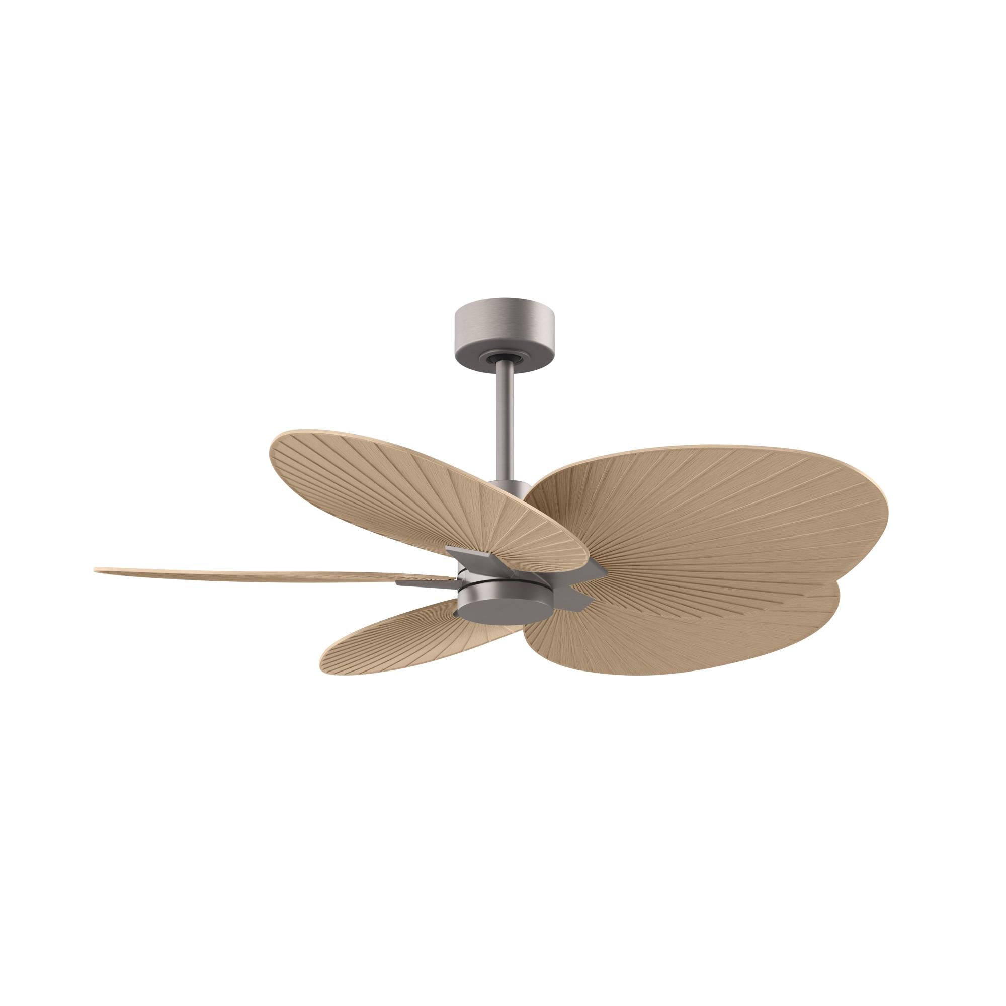 Matthews Fan Company Alessandra Tropical 48 Inch Ceiling Fan - AKTP-BN-LM