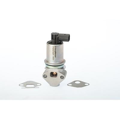 Borgwarner (wahler) AGR-Ventil [Hersteller-Nr. 710721D/1] für Seat, Skoda, VW Image
