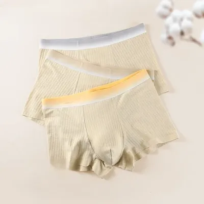 3er-Pack Herrenunterwäsche, antibakterielle Baumwolle, nahtlose Unterwäsche, Sommer, dünne Boxershorts, sportliche, atmungsaktive Jungen-Boxershorts Image