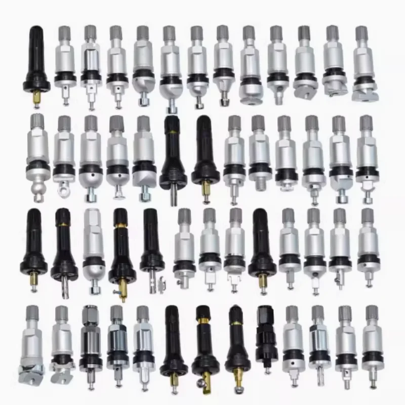 4 teile/los tpms Reifen ventil für gwm haval schlauch loses Ventil für Reifendruck überwachungs system Sensor reparatur satz Image