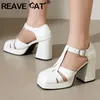 REAVE CAT Classic Black White Women Pumps 33 Toe Block Heel T-Strap Big Size 42 43 Daily Lady Shoes