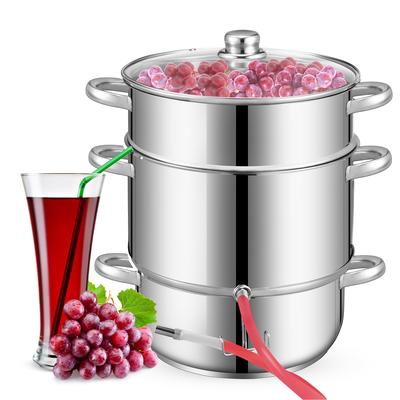 TEMU Steam Juicer 8l, Fruit Juicer Ø 26cm, Stainless Steel Juicer Press For All Stove Types, Extraction Of Pure & Fruit Sugar, With 4 Folding Bottles