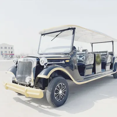 Beliebte elektrische Golfwagen 8 11 14-Sitzer-Elektro-Vintage-Wagen für Erwachsene mit Image