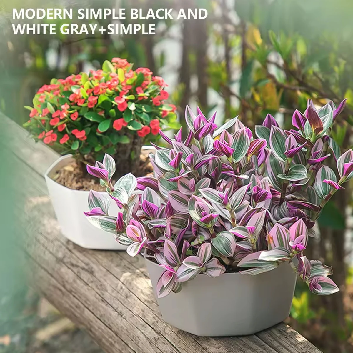 1pc Einfache Blumentopf Set Pflanzer Sukkulenten Große Öffnung Boden Tablett Innen Blumentopf Haushalt Langlebig Halter Image