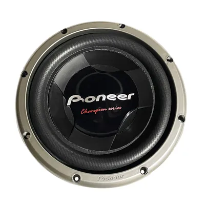 2025 Hot Sale Car Speaker Subwoofer 12 Inch 1400W Big Power Car Bass Speaker Pionner TS-W308D4