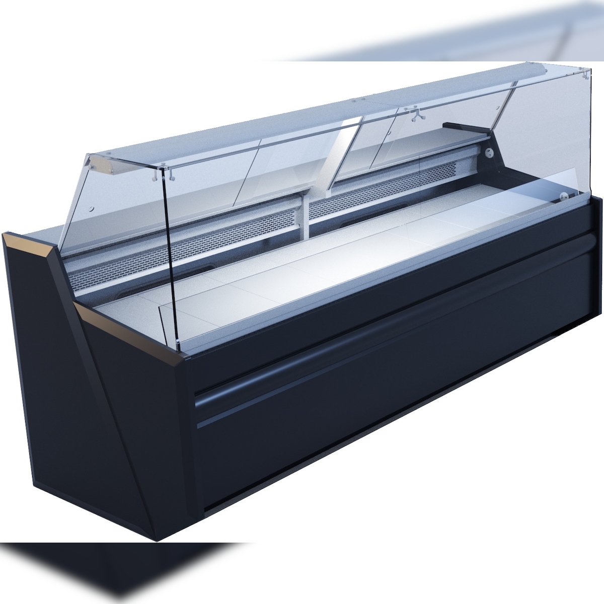 IGLOO Fischtheke Maße (BxTxH): 1700x860x1220 270 L Image