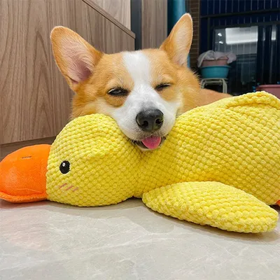 Beruhigende Ente Hundespielzeug Quack Hunde-Enten-Spielzeug Langlebiges Quietschspielzeug für Hunde Weiches Plüsch-Kauspielzeug für Hunde Indoor Alone Relief Bored Pet Supplies