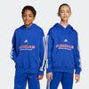 Kapuzensweatshirt ADIDAS SPORTSWEAR "J TIRO FL HDD", Kinder, Gr. 176, blau (semi lucid blau), Obermaterial: 70% Baumwolle, 30% Polyester, sportlich, Sweatshirts