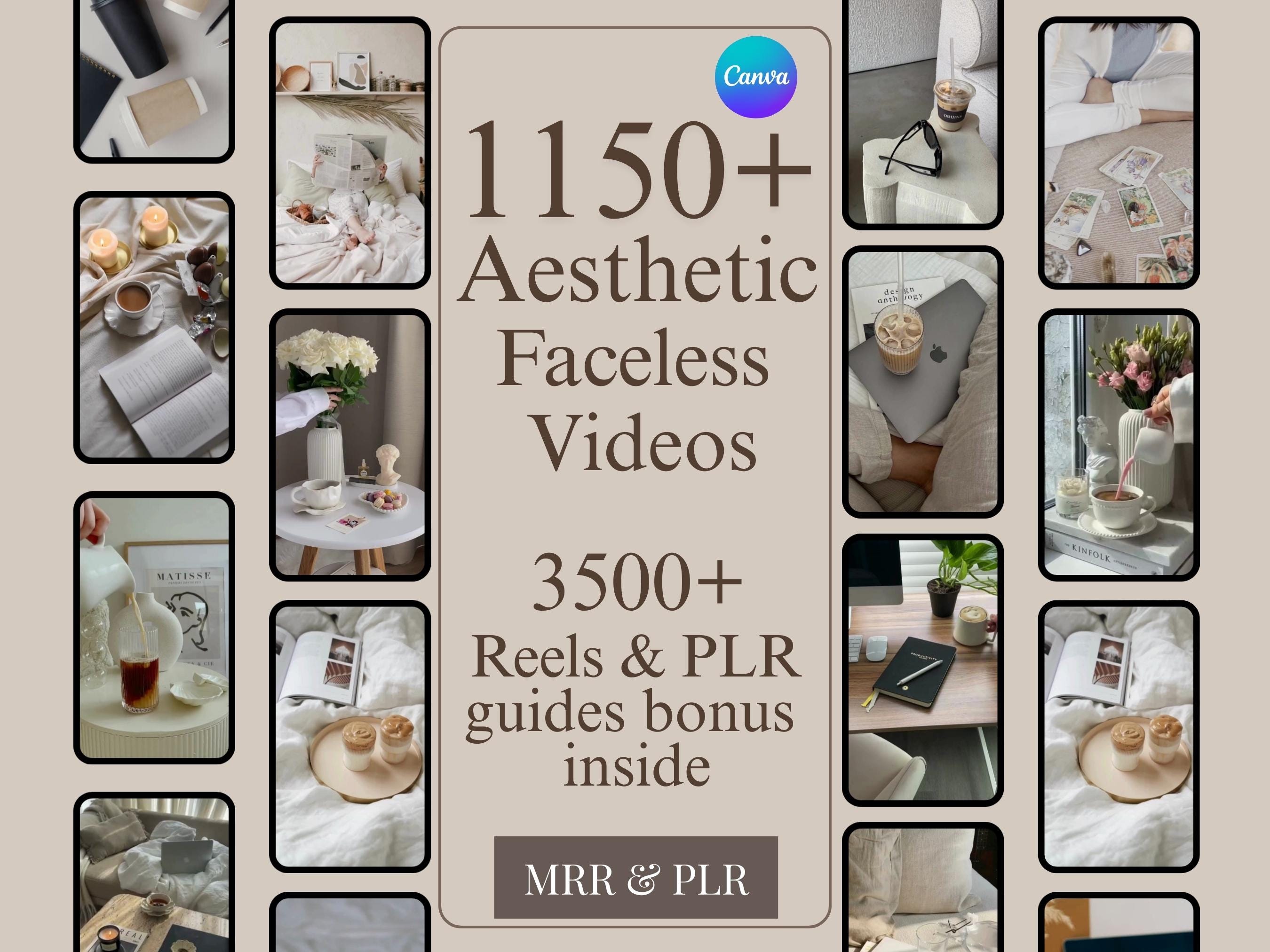 Pacchetto di oltre 1150 Faceless Reels, Video, Marketing senza volto, Faceless Reels, Video senza volto, Aesthetic Reels, Marketing digitale, MRR/PLR