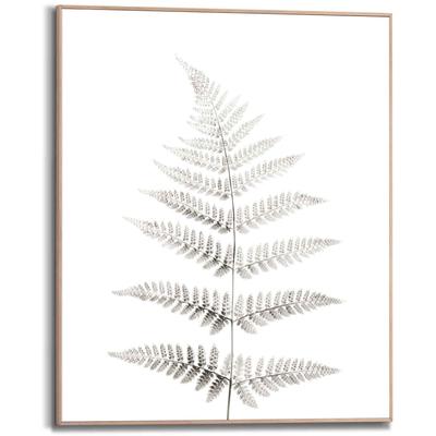 Bild REINDERS "Farn Pflanz - Natur - Botanisch", grün (farbe bild(er): khaki), B:40cm H:50cm, Holzwerkstoff, Bilder Image