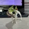 The Mask Dog Anime Action Figure 7 cm Modello Statua Decorazioni per il desktop Ornamenti Regalo ideale per le vacanze per bambini Giocattoli da collezione