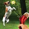 Hund Snack Catapult Launcher Hund Katze Behandeln Launcher Snack Food Feeder Katapult Pet Interaktive Ausbildung Spielzeug Outdoor Strand Spielzeug