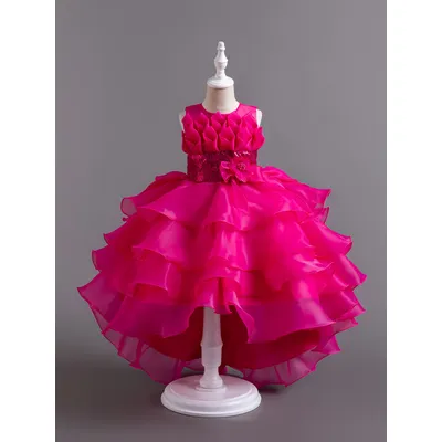 Rose neues Kind nachlaufen Party kleid für Brautjungfer Brautkleider von 3 bis 12 Jahren Blumen mädchen mit nachlaufen den Schwänzen Image