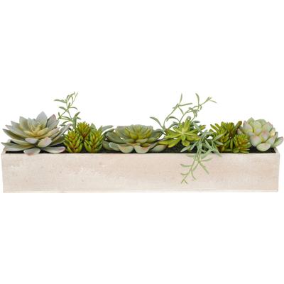 Kunstpflanze CREATIV GREEN "Sukkulenten", grün, B:40cm H:10cm T:6cm, Kunststoff, Kunstpflanzen, mit verschiedenen Sukkulenten arrangiert Image