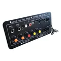 Scheda amplificatore Scheda amplificatore stereo Bluetooth digitale Scheda amplificatore per auto Audio Bluetooth Spina europea