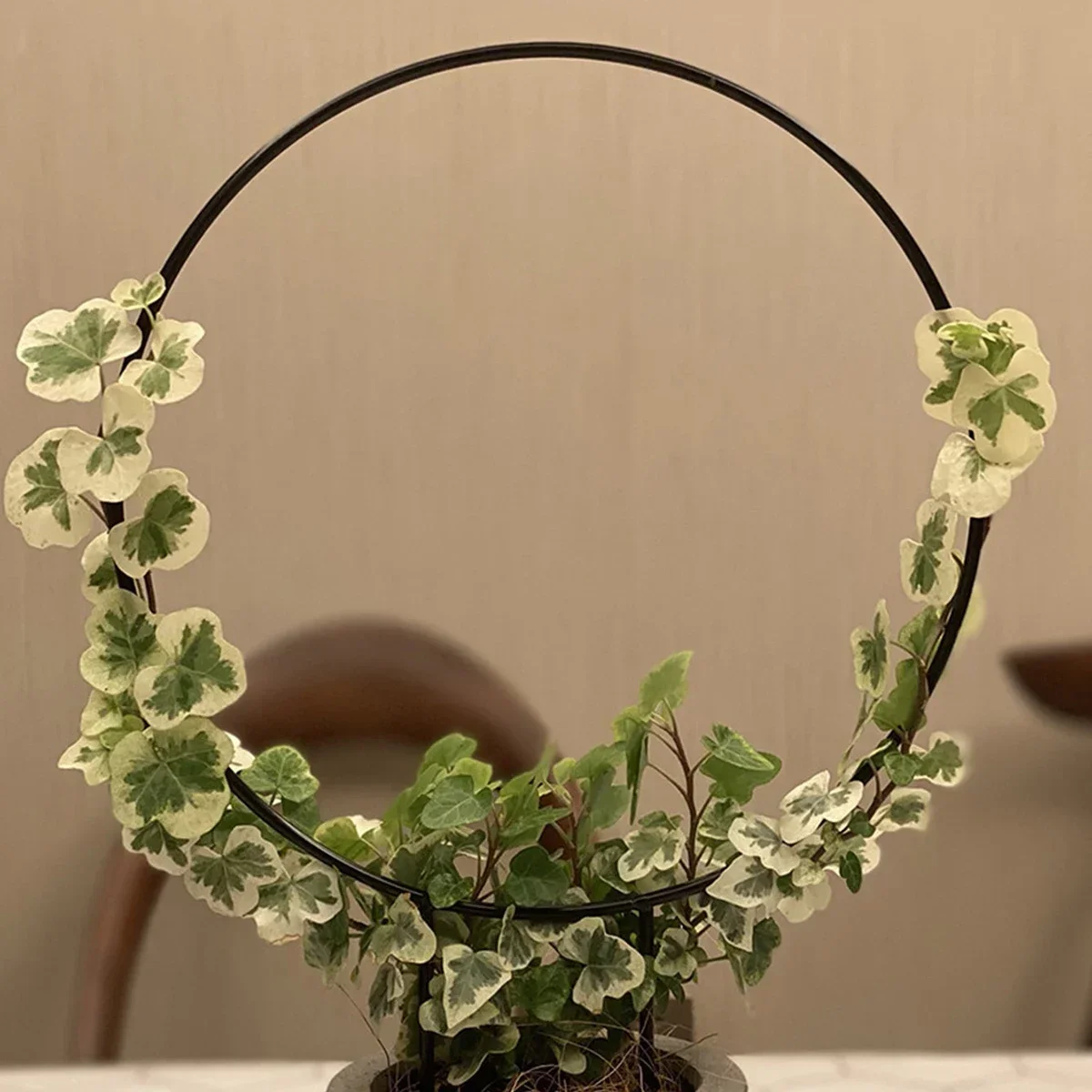 Gartenspalier Pflanze Eisen Kletterpflanze Unterstützung mit schwarzer rostfreier Beschichtung für Blumenreben im Innenbereich zur Dekoration Image