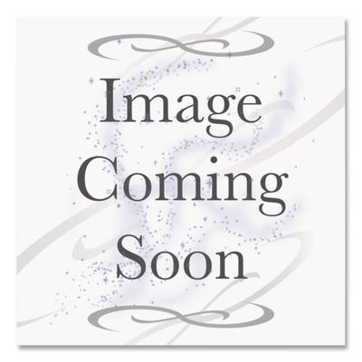 Oasis VersaFilter III Water Filter Kit (WLB41253001) Each Oasis® Security and Surveillance Products