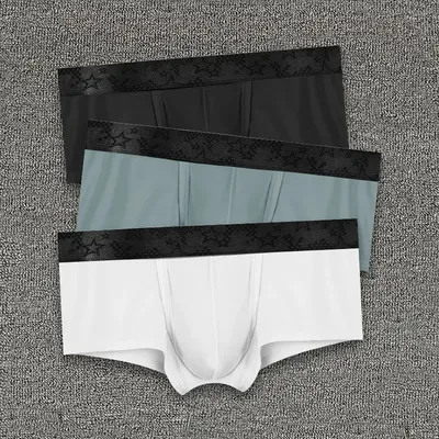 Spermatic-Unterhose für Herren, Eisseide, Sommer, dünne Skrotal-Buttonstock-Boxershorts aus geteilter Krampfadern für Jungen Image
