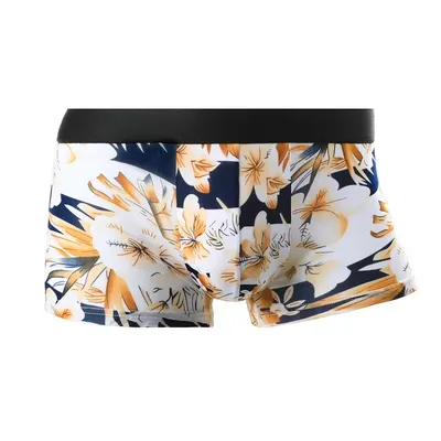 5 Stück Herrenunterwäsche, Herren-Slips, Eisseiden-Sohlen, viereckige Bündchen, Herren-Modal-Sommer-dünner Stil, atmungsaktiv Image
