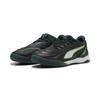 Fußballschuh PUMA "IBERO Futsalschuhe Erwachsene", Gr. 46, schwarz grün terrain fizzy light gelb, Obermaterial: Synthetik, Textil; Futter: Textil; Innensohle: Textil; Laufsohle: Gummi, Schuhe