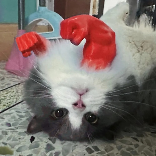 3D-gedruckte Katzenhalsarme mit Muskeln, lustige Katzenmuskelarme, Halloween-Katzenkostüm, lustiges Kätzchen, Superhelden-Haustier, Cosplay-Zubehör, Geburtstagsparty-Zubehör Image