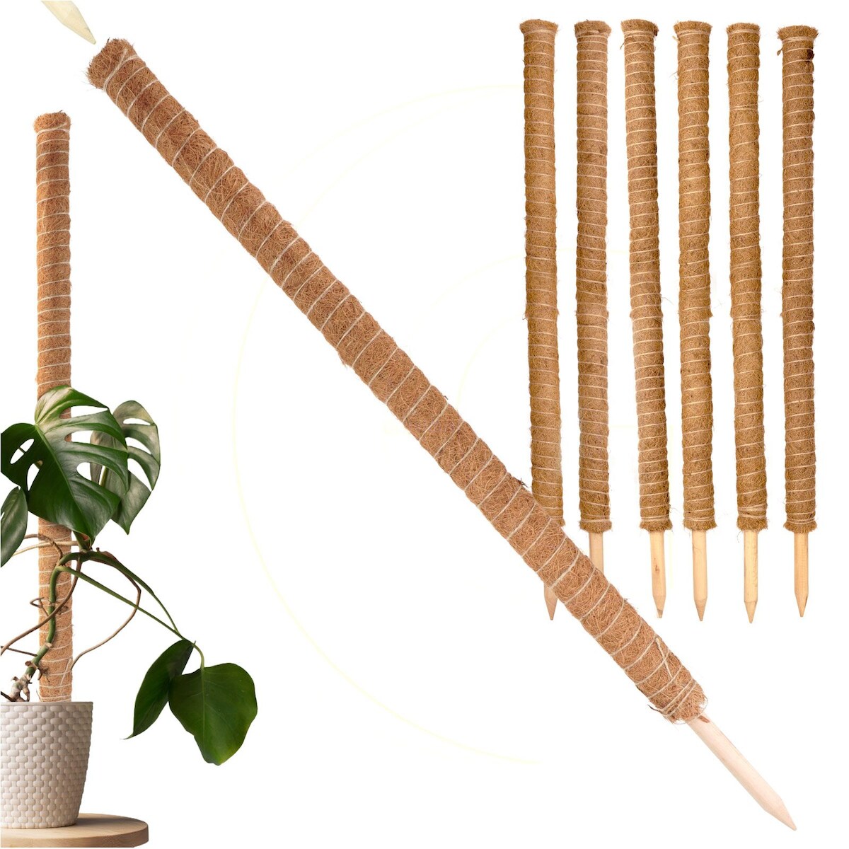 Gravidus ​Erweiterbare Rankhilfe 110 cm mit Kokosfilz für Zimmerpflanzen​ Image