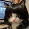Pet Wig Dog Wig Pet Supplies Halloween Pet Accessories Curly Hair Straight Hair Cat Wig