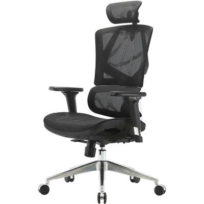 Sihoo - neuwertig] Bürostuhl Schreibtischstuhl ergonomisch, Lordosenstütze hohe Rückenlehne Image