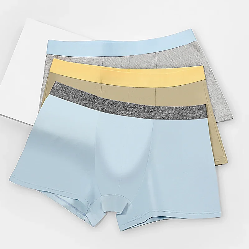 5 Stück Herren-Unterhosen. Herren-Boxershorts aus Baumwolle. Sie sind Unterhosen, dünn im Sommer, geeignet für Jungensportarten und sind verfügbar Image