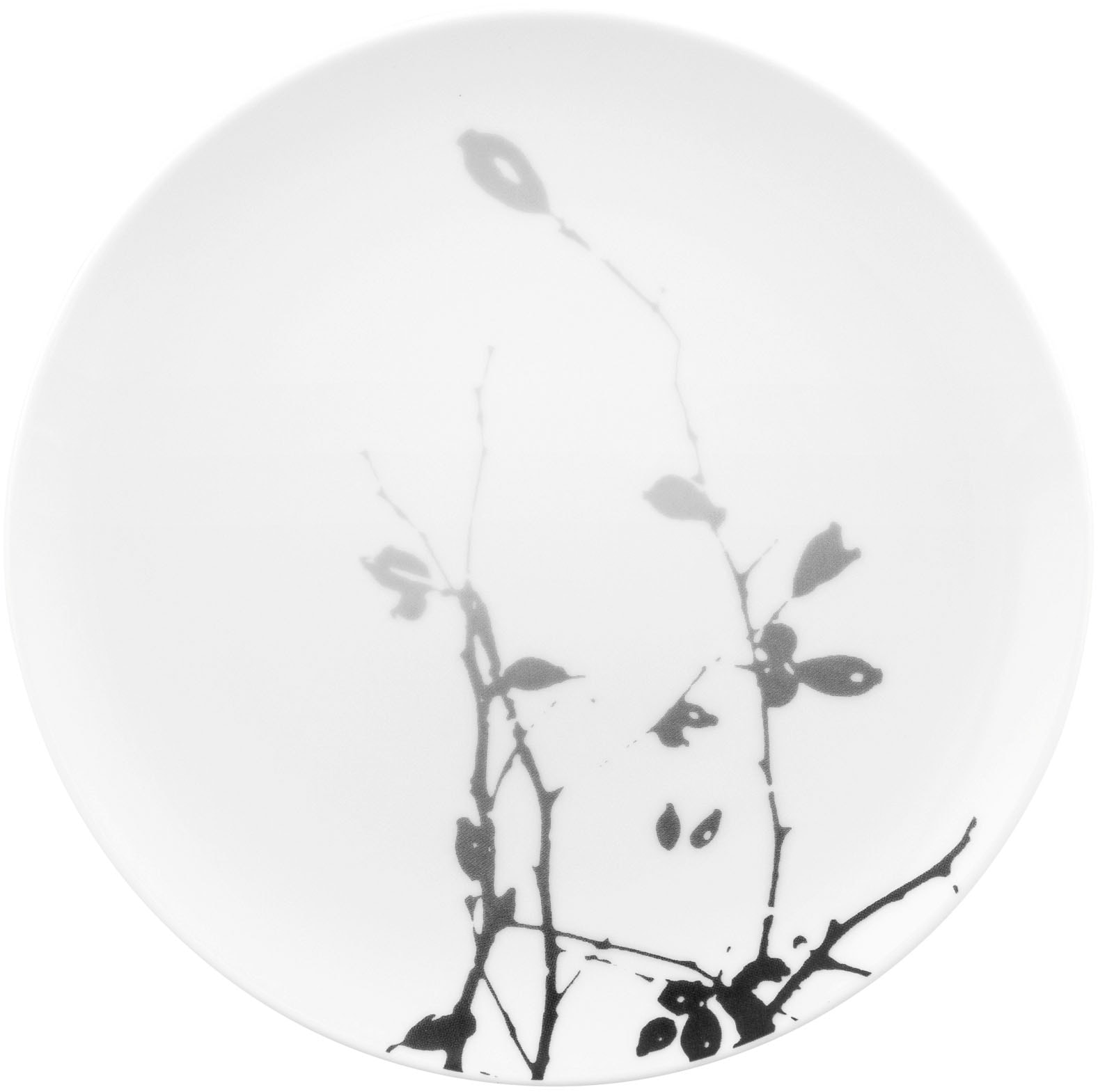 Brotteller SELTMANN WEIDEN "Liberty - Dark Rose Hip", schwarz (weiß, schwarz), B:17,7cm H:1,6cm L:17,7cm T:17,7cm Ø:17,7cm, Porzellan, Speiseteller, Teller 17,5 cm