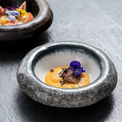 Assiette en céramique pour changements de four japonais, plat à Dessert, assiette à Sushi Sashimi, bol à salade rétro, assiette à nouilles italiennes, vaisselle spécialisée