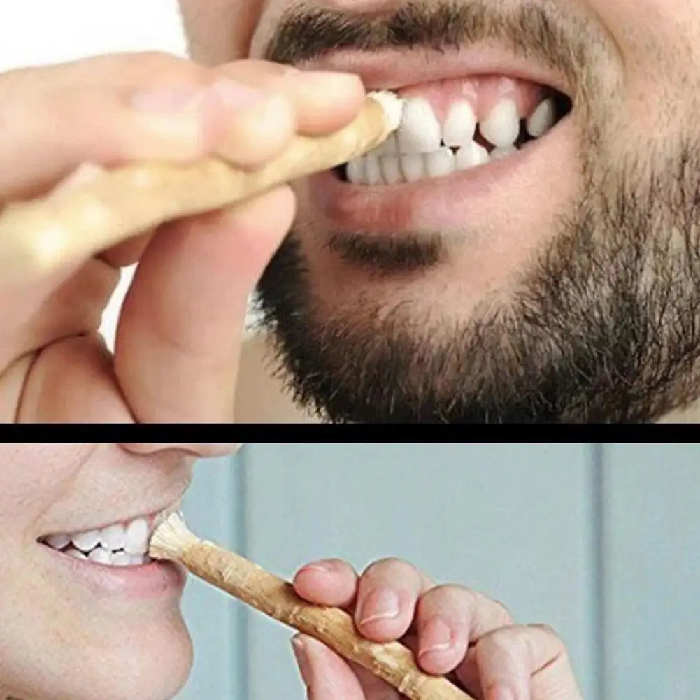 Miswak Siwak Natural Zahnbürste Misvak Traditional Arak Miswak Manuelle Zahnaufheller Soft Travel Middle Eastern Ancient Law Image