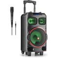 Ngs Spekear Trolley Wilddubzero Dj Party Microfono Rgb Tws 120w