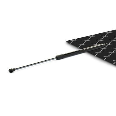 RIDEX Heckklappendämpfer TOYOTA 219G1106 68950F4020,68960F4070,689500WF81 689500WF8100,68950F4010,68950F4051,68960F4010,68960F4021,68960F4060 Image