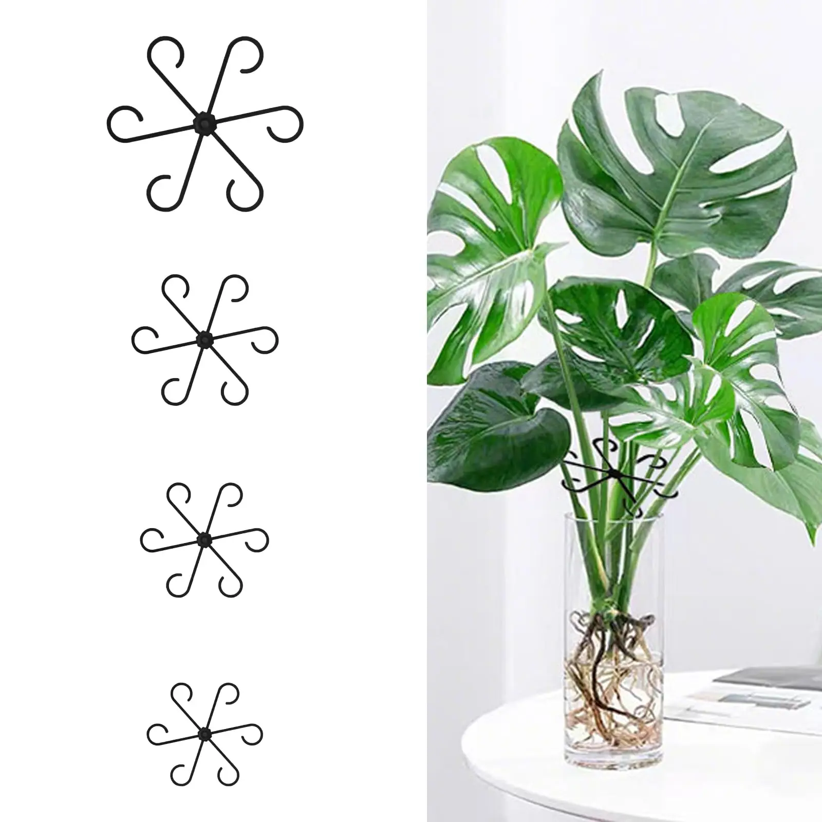 24 Stück schwarze Pflanzenstützringe – Kunststoffhalter für Monstera-, Rosen- und Zimmerpflanzen Image