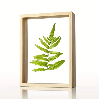 1pcs Double Sided Photo Frame 5x7in Transparent Acrylic Glass Wooden Photo Frame Creative Desktop Plant Specimen DIY Photo Frame