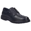 Budapester JOSEF SEIBEL "Erroll 59", Herren, Gr. 47, schwarz, Leder, Lyralochung, elegant, Schuhe, Business Schuh, Budapester mit TEX-Membrane