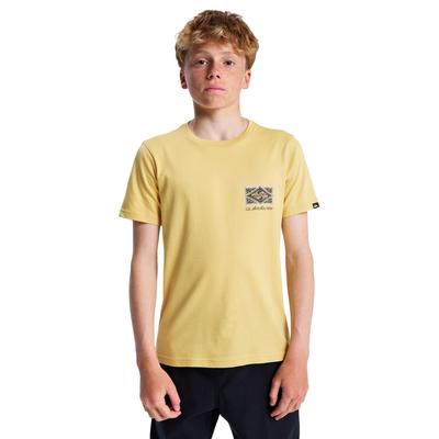 T-Shirt QUIKSILVER "Evo Crisis", Kinder, Gr. 14, beige (rattan), 100% Baumwolle, Kurzarm, Shirts Image