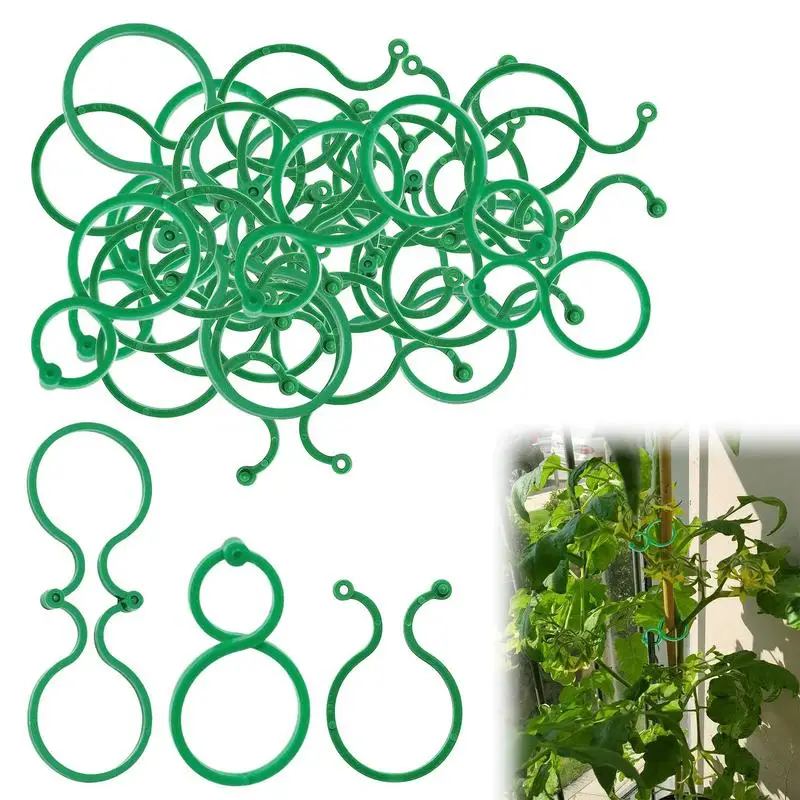8-förmige Schnalle Rebe Halter Clips 50/100 Stück Pflanzen Halter Gurke Rebe Ständer Clips für Kletterpflanzen Stiel Unterstützung Gartenwerkzeug Image